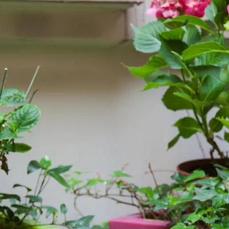 Hotel Marais De Launay 3*